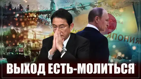 «Япония потеряла дар речи»: в КНР удивились реакции Токио на сюрприз Путина