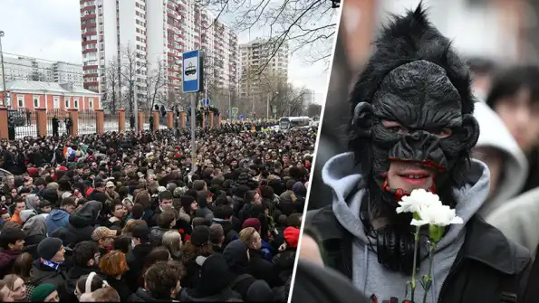 «Вы кого на пьедестал ставите?!» — Кудрявцева сорвала маски с похоронной романтики вокруг Паши Техника «Вы кого на пьедестал ставите?!» — Кудрявцева сорвала маски с похоронной романтики вокруг Паши Техника