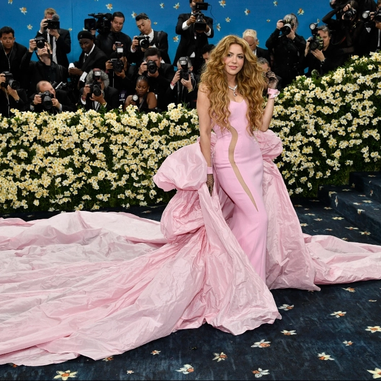 Деми Мур, Рианна и Памела Андерсон: главные наряды Met Gala 2025